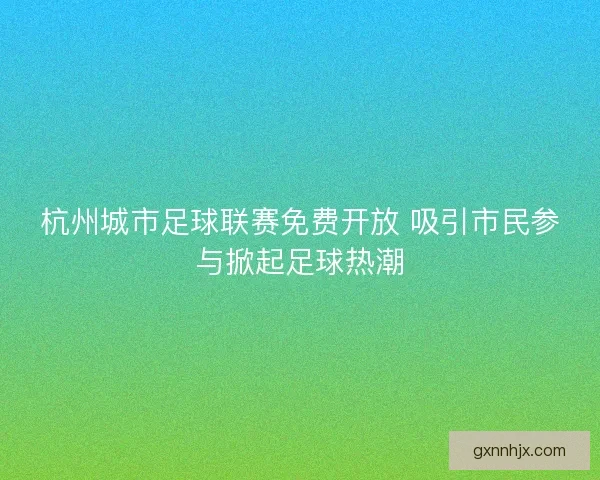 杭州城市足球联赛免费开放 吸引市民参与掀起足球热潮